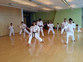 Richmond Karate lesson
